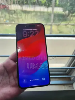 Apple iPhone 15 Pro Max 256GB Unlocked JV Smartphone