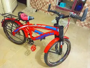 Classic Bicycle - Lightly Used City Commuter Bike