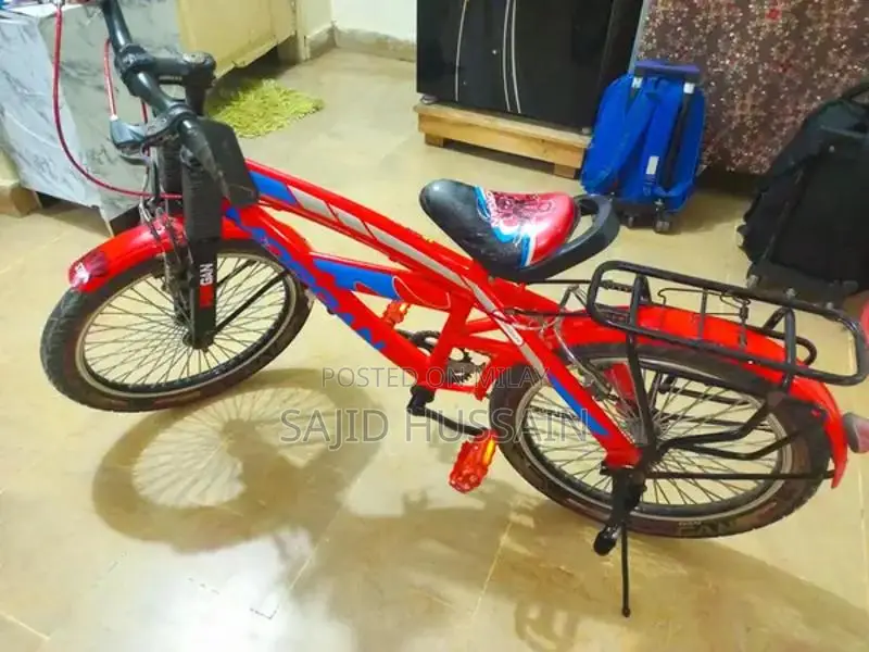 Classic Bicycle - Lightly Used City Commuter Bike