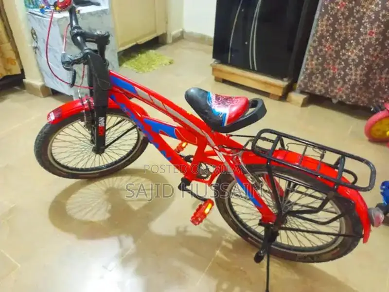 Classic Bicycle - Lightly Used City Commuter Bike