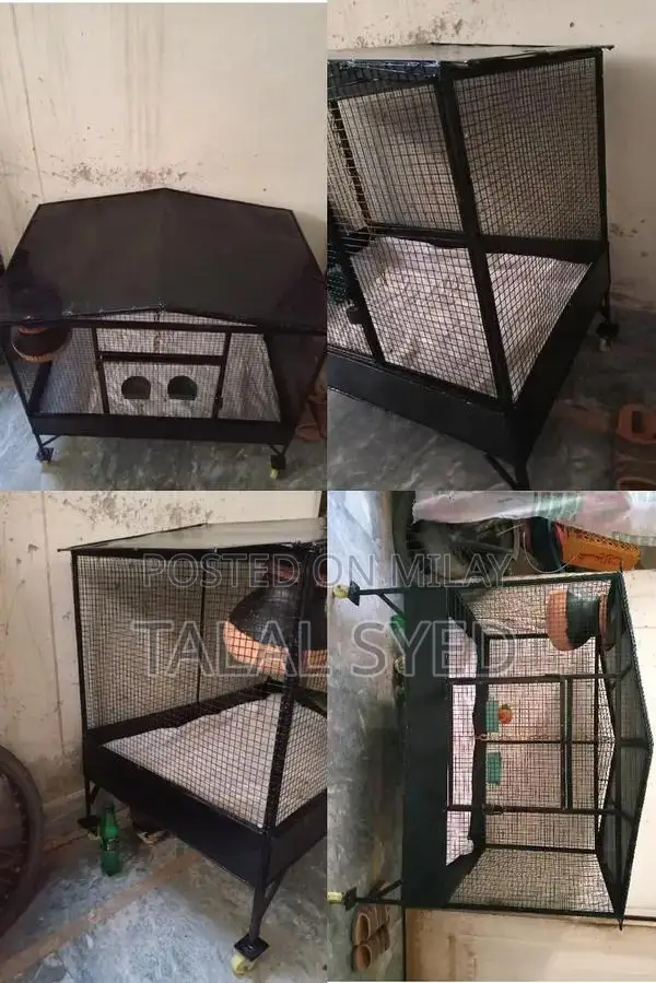 Heavy-Duty Black Iron Cage for Industrial or Decorative Use