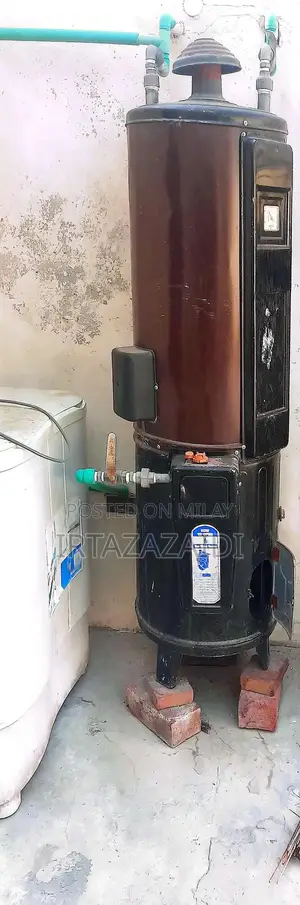 Photo - Dual Fuel Geyser - Electric and Gas Water Heating System