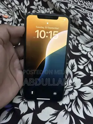 Apple iPhone 11 Pro Max 256GB Waterproof Smartphone