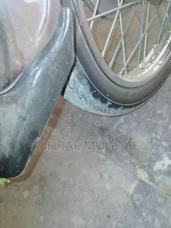 Bike with Multi-Cylinder Engine Model