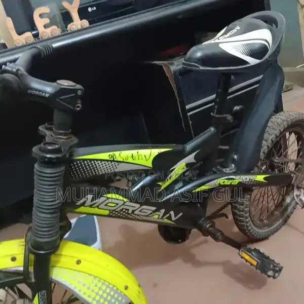 Morgan Kids Bicycle 16-inch Wheel Size