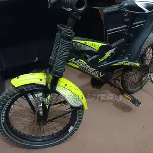 Morgan Kids Bicycle 16-inch Wheel Size