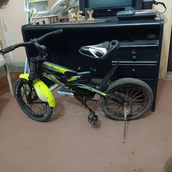 Morgan Kids Bicycle 16-inch Wheel Size