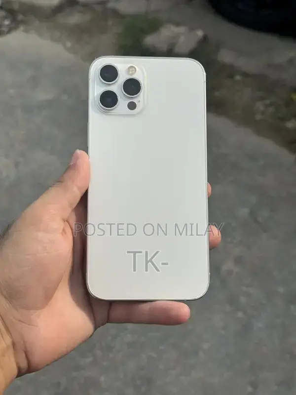 Apple iPhone 12 Pro Max 256GB Smartphone