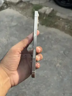 Apple iPhone 12 Pro Max 256GB Smartphone