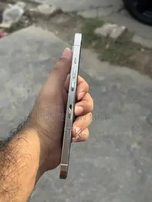 Apple iPhone 12 Pro Max 256GB Smartphone