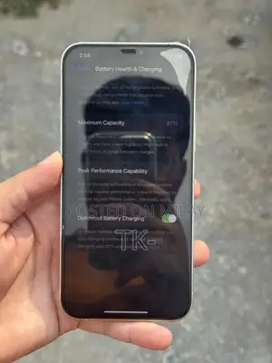 Apple iPhone 12 Pro Max 256GB Smartphone