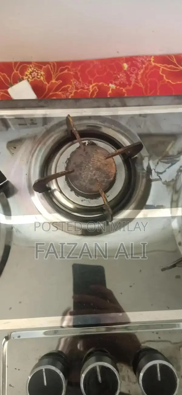 Automatic Electric Gas Stove with Auto-On Feature