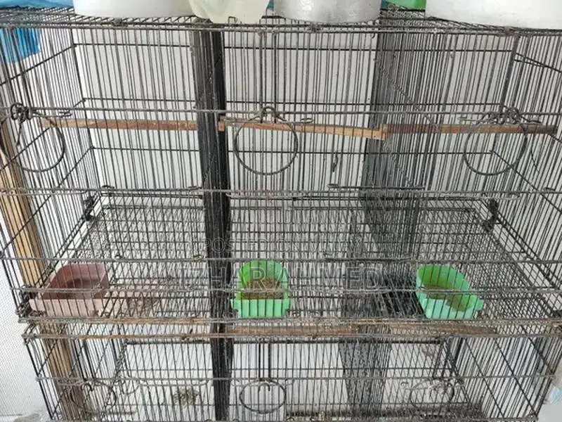 12-Compartment Small Animal Housing Cage