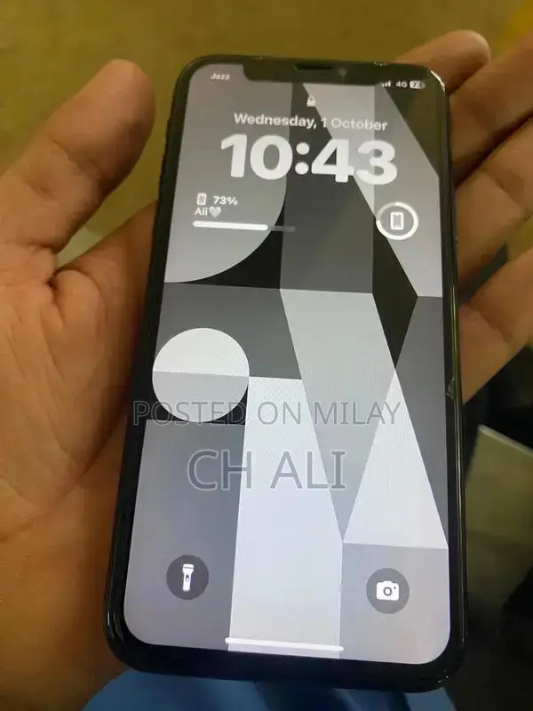 Pre-owned iPhone XS 256GB with Functional Issues