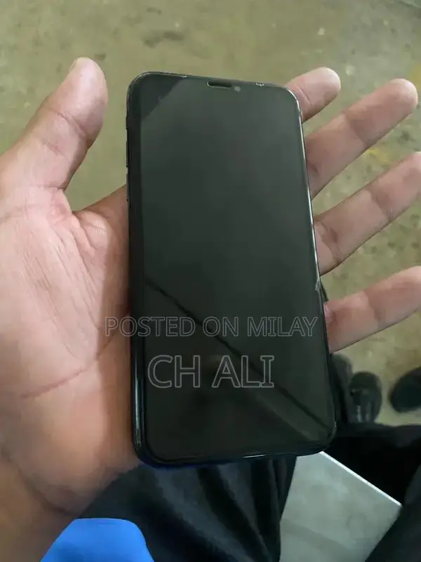 Pre-owned iPhone XS 256GB with Functional Issues