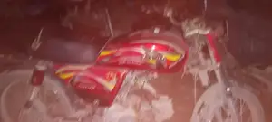 Biounique Vehicle - Potential Engine Modification Opportunity