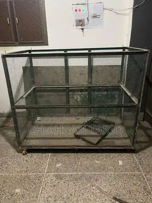 Large Iron Bird Cage - Sturdy 4-Foot Height, 5-Foot Width