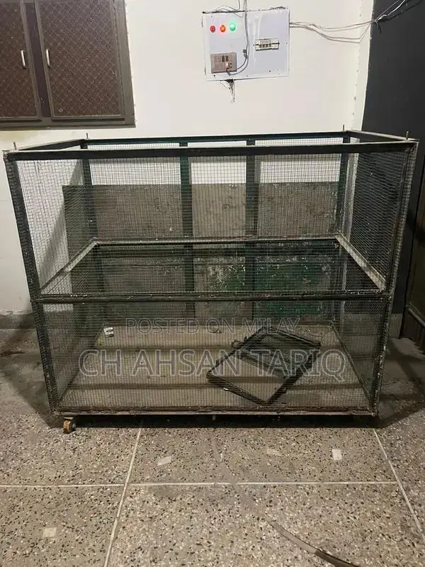 Large Iron Bird Cage - Sturdy 4-Foot Height, 5-Foot Width