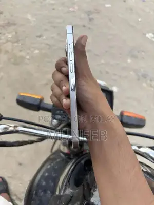 Apple iPhone 13 Pro Max 128GB Unlocked Smartphone