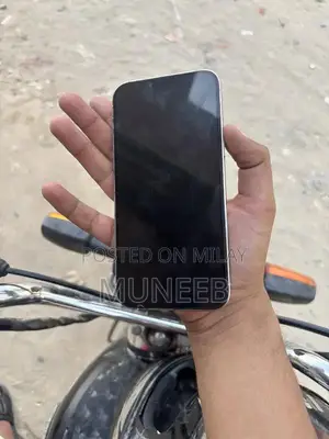 Apple iPhone 13 Pro Max 128GB Unlocked Smartphone