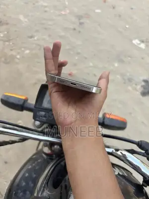 Apple iPhone 13 Pro Max 128GB Unlocked Smartphone