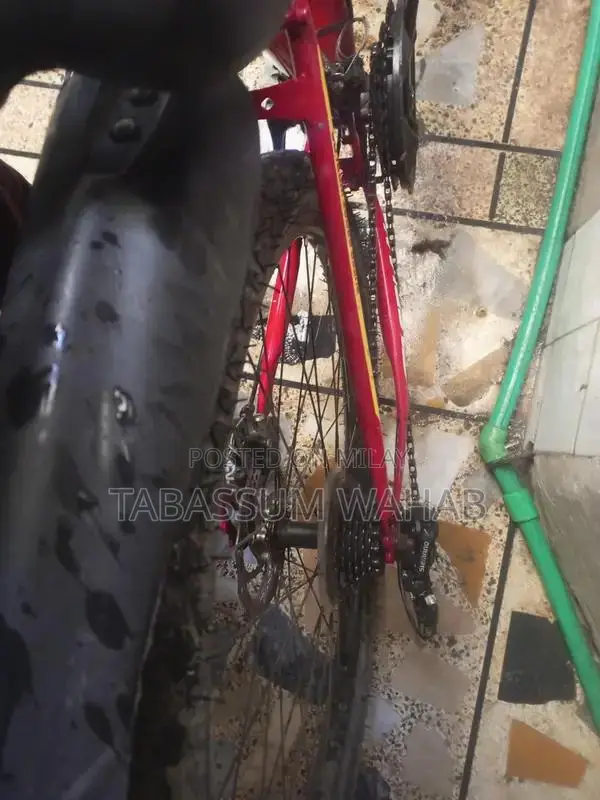 Reliable Bicycle for Sale - Well-Maintained Personal Transport