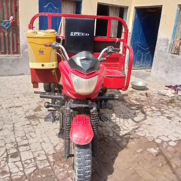 High-Speed 200cc Loader Rickshaw