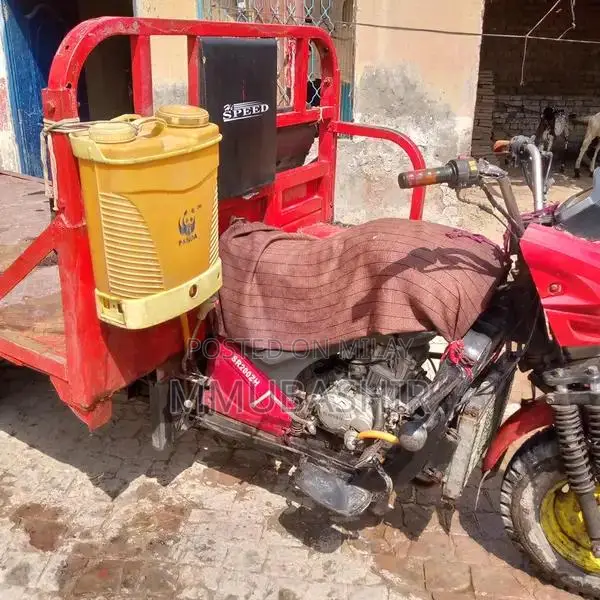 High-Speed 200cc Loader Rickshaw