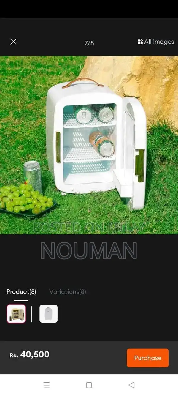 Geeprs Mini Fridge Compact Personal Refrigerator