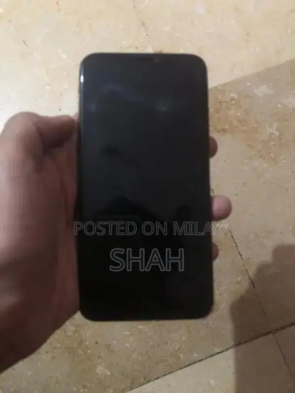 Apple iPhone XS Max Dual SIM Smartphone