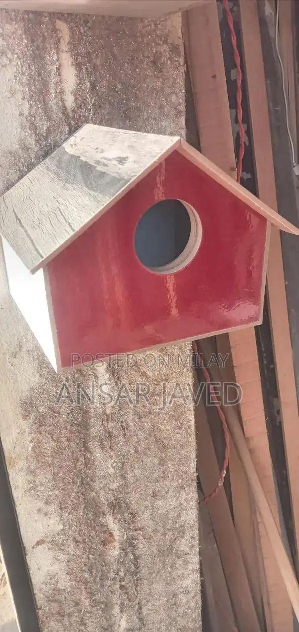 Bird Cage and Accessories for Pet Owners