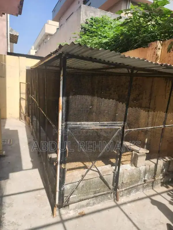Large Spacious Hen Cage with Removable Design