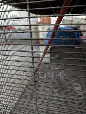 Sturdy Wire Pet Cage for Sale - Good Condition