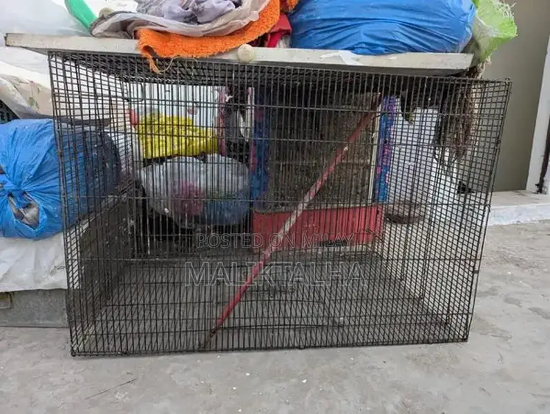 Sturdy Wire Pet Cage for Sale - Good Condition