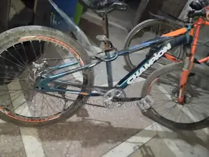 Photo - Versatile Good Cycle Bicycle for Comfortable Riding