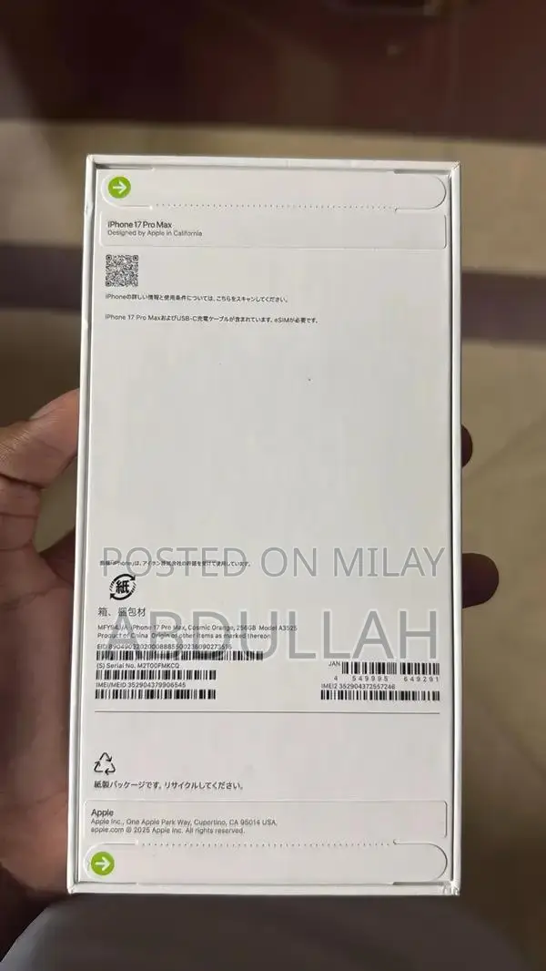 256GB Dual eSIM Unlocked Smartphone - Japan Variant