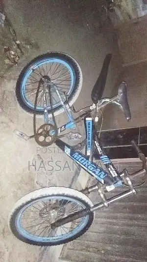 Photo - Morgan Classic Sports Bicycle x800 Model