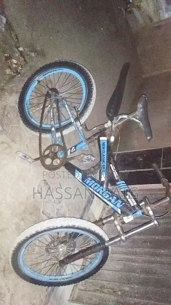 Morgan Classic Sports Bicycle x800 Model