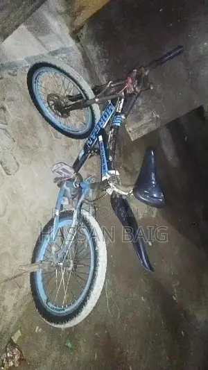 Morgan Classic Sports Bicycle x800 Model