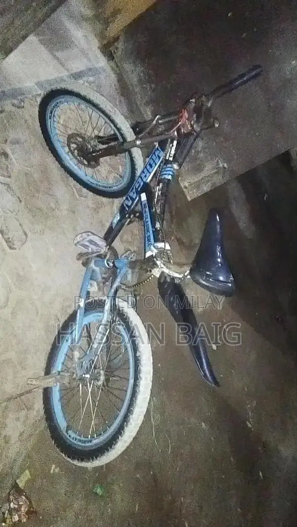 Morgan Classic Sports Bicycle x800 Model