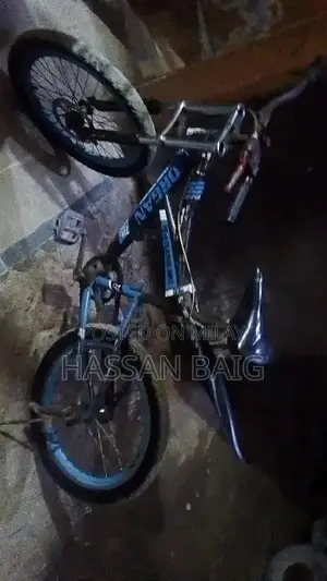 Morgan Classic Sports Bicycle x800 Model