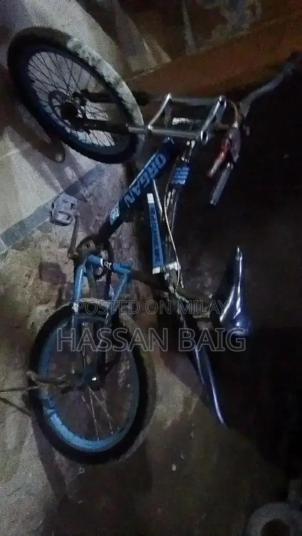 Morgan Classic Sports Bicycle x800 Model