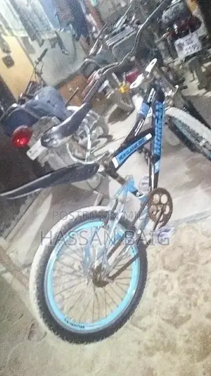 Morgan Classic Sports Bicycle x800 Model