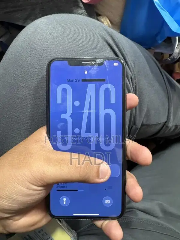 Apple Smartphone Pro Model High Storage Capacity