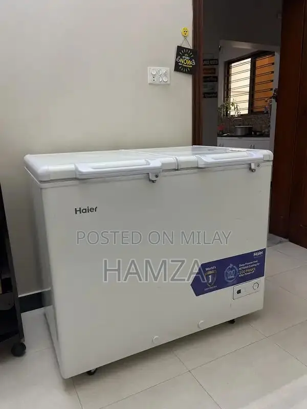Haier Two-Door Refrigerator with Freezer Compartment