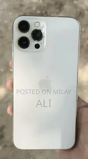 Apple iPhone 12 Pro Max Smartphone - 128GB Golden Edition