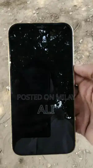 Apple iPhone 12 Pro Max Smartphone - 128GB Golden Edition