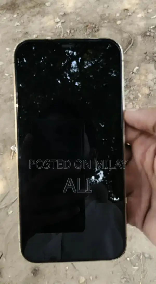 Apple iPhone 12 Pro Max Smartphone - 128GB Golden Edition