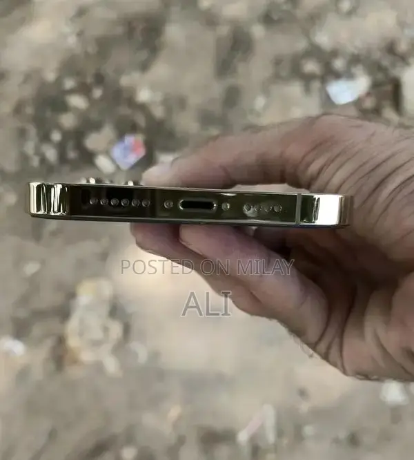 Apple iPhone 12 Pro Max Smartphone - 128GB Golden Edition