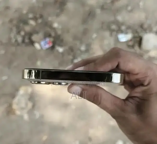 Apple iPhone 12 Pro Max Smartphone - 128GB Golden Edition